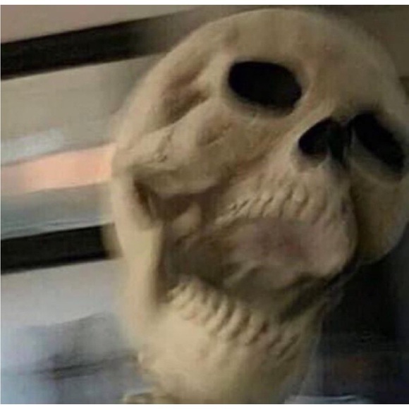 But will there be snacks? - Picture 8 of 16